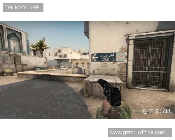 CSGO战术解析：深入探讨WE战队的反击策略与执行技巧