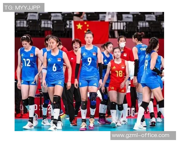 上海排球队团队协作深度解析与其他球队的对比研究