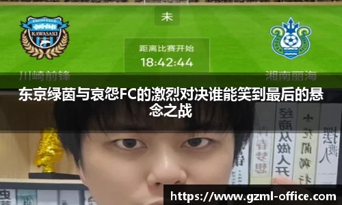 g22恒峰官网